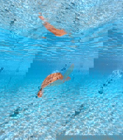 wonders-of-curacao-irie-tours-8